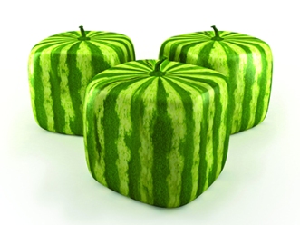 Square watermelons - web