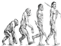 Screen Shot 2016-03-12 at 1.01.28 PM