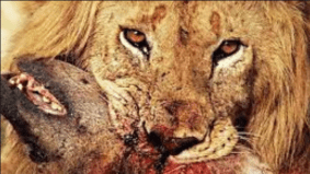 Screen Shot 2016-03-12 at 12.01.54 PM