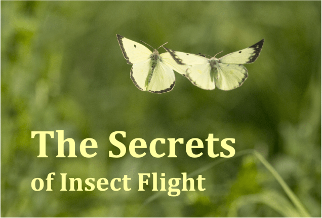 Screen Shot 2017-05-05 at 11.48.45 AM.png