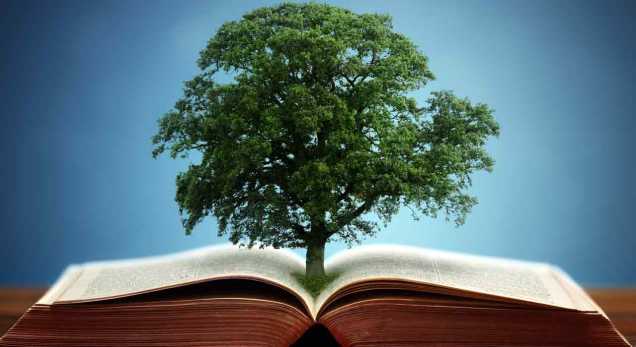 The Bible and the "book" of Nature